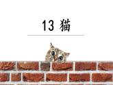 部编版（五四制）四下 13.猫课件