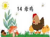 部編版（五四制）四下 14.母雞課件