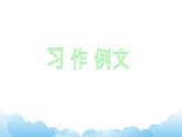 部编版（五四制）四下 第五单元：习作课件