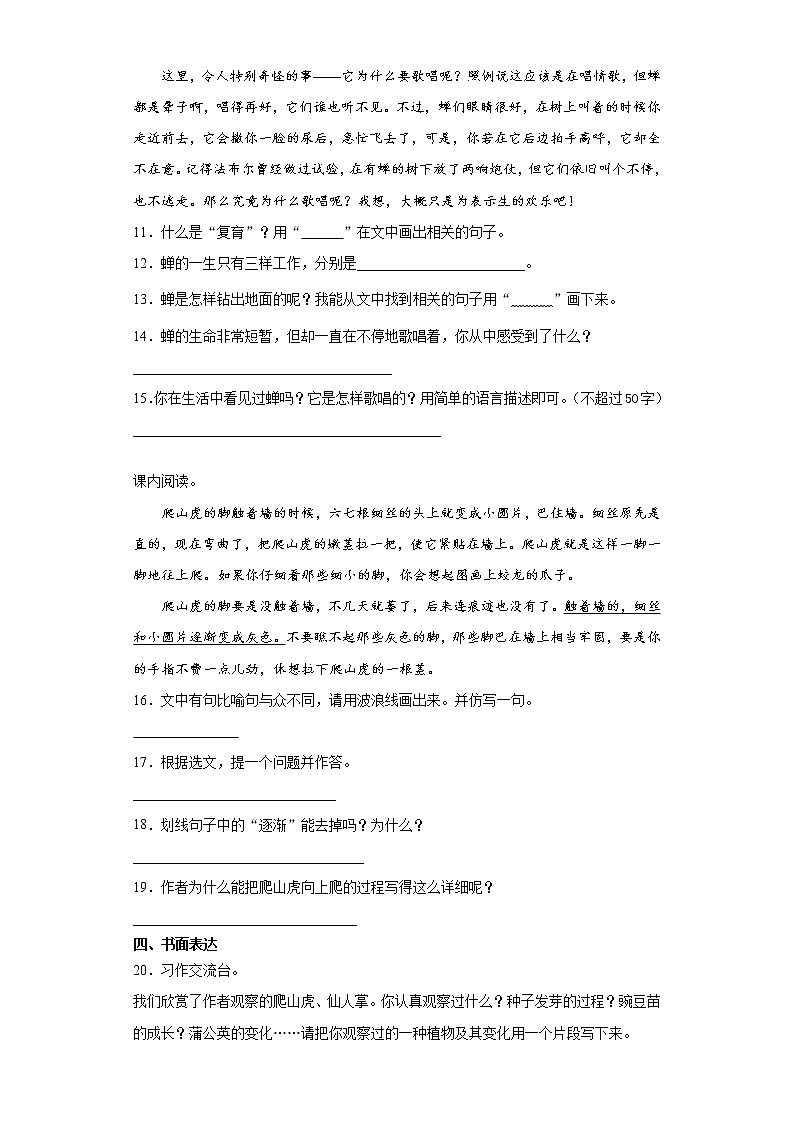 期末课课复习——部编版语文四年级上册——爬山虎的脚第3页