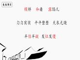 部编版（五四制）五下 14.刷子李 课件