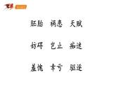 部編版（五四制）五下 23.童年的發(fā)現(xiàn) 課件