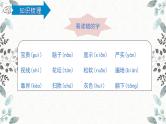 统编版三年级上册第六单元复习（课件29张PPT+学案）