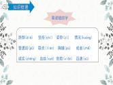 统编版三年级语文上册第八单元复习（课件26张PPT+学案）