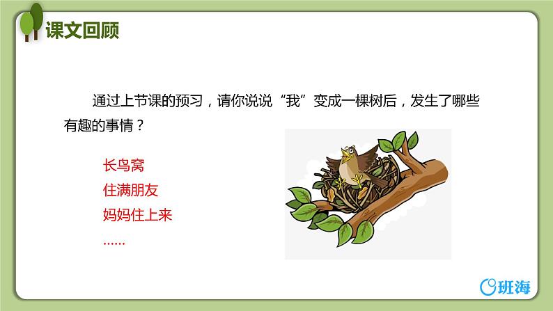 17 我变成了一棵树（2课时） 课件+教案04