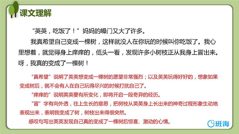 17 我变成了一棵树（2课时） 课件+教案06