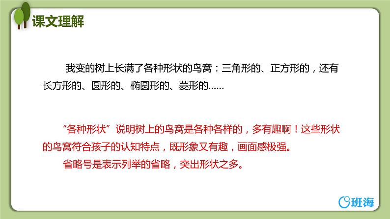 17 我变成了一棵树（2课时） 课件+教案08