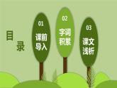 17 我变成了一棵树（2课时） 课件+教案