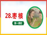 28 枣核（2课时） 课件+教案