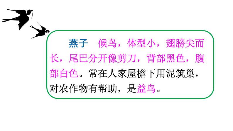 2、部编三年级下册《燕子》课件第5页