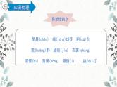 统编版语文三年级上册第一单元复习（课件38张PPT+学案）