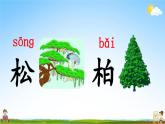人教部编版二年级语文上册《识字2 树之歌》配套教学课件PPT优秀公开课