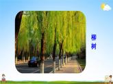 人教部编版二年级语文上册《3 植物妈妈有办法》配套教学课件PPT优秀公开课