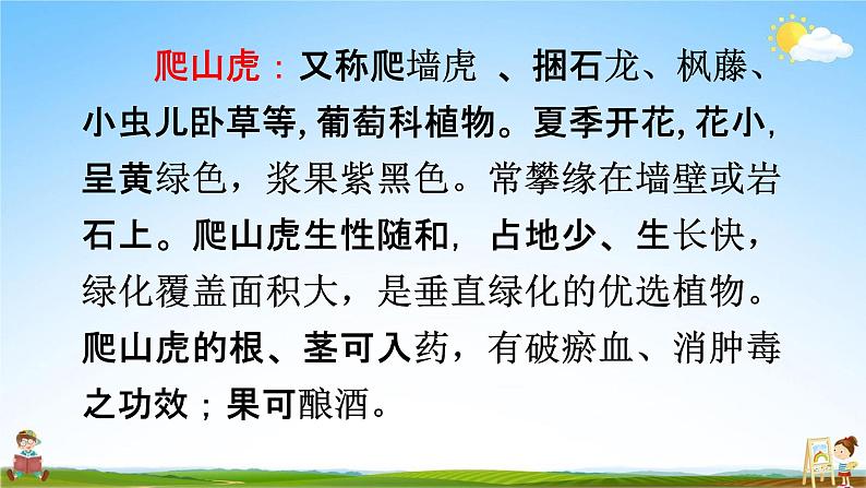 人教部编版四年级语文上册《10 爬山虎的脚》配套教学课件PPT优秀公开课第4页