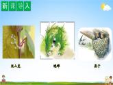 人教部编版四年级语文上册《习作：写观察日记》配套教学课件PPT优秀公开课