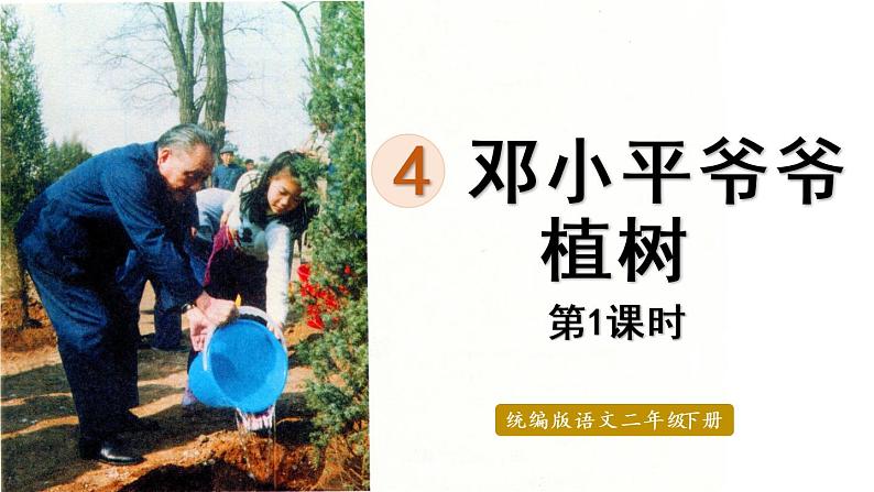 统编版二年级语文下册 第1单元 4.邓小平爷爷植树 课件01