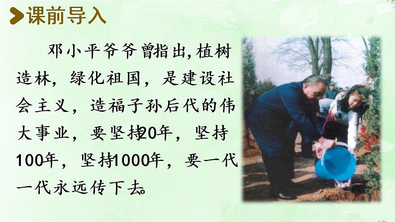 统编版二年级语文下册 第1单元 4.邓小平爷爷植树 课件02
