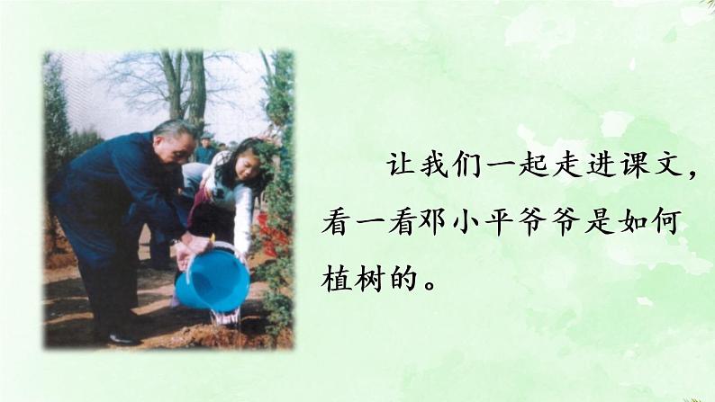 统编版二年级语文下册 第1单元 4.邓小平爷爷植树 课件03