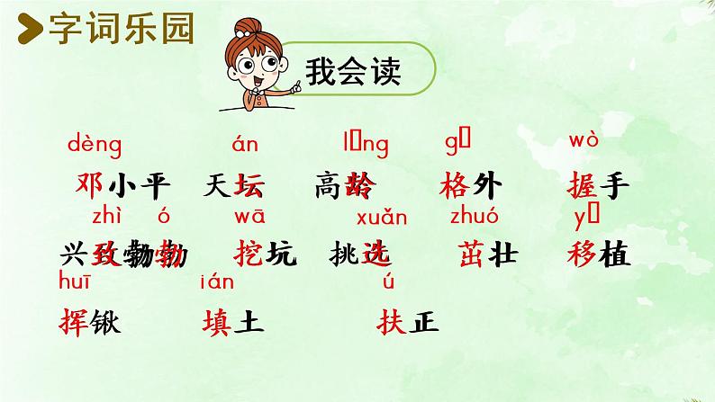 统编版二年级语文下册 第1单元 4.邓小平爷爷植树 课件07