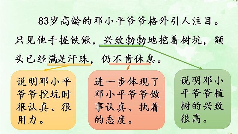 统编版二年级语文下册 第1单元 4.邓小平爷爷植树 课件07