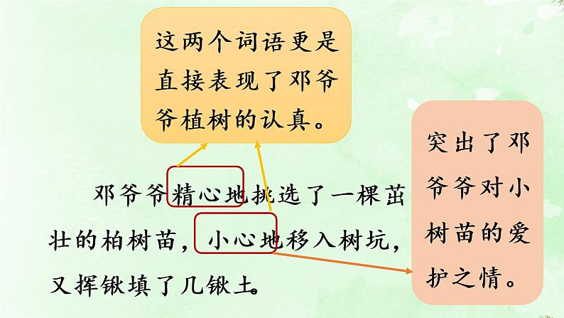 统编版二年级语文下册 第1单元 4.邓小平爷爷植树 课件08