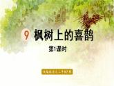 统编版二年级语文下册 第4单元 9.枫树上的喜鹊 课件