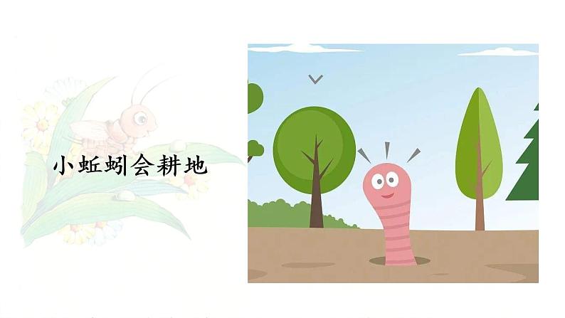 11.《我是一只小虫子》第2课时第4页