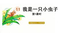 人教部编版二年级下册11 我是一只小虫子授课ppt课件