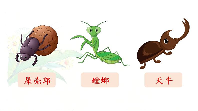 11.《我是一只小虫子》第1课时第3页