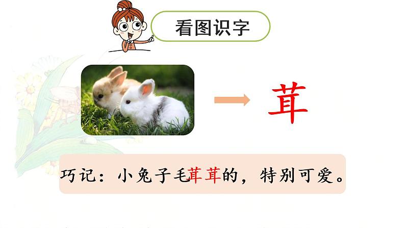 11.《我是一只小虫子》第1课时第6页