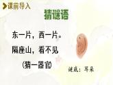 统编版二年级语文下册 第7单元 19.大象的耳朵 课件
