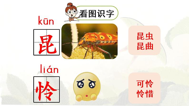 22.小毛虫第1课时第6页
