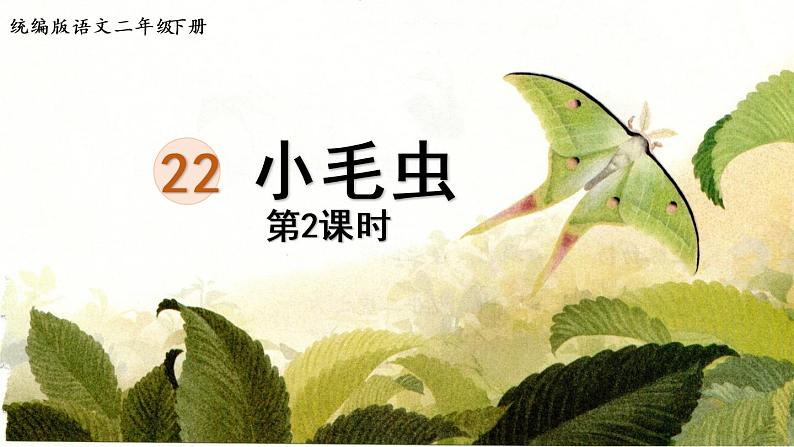 22.小毛虫第2课时第1页