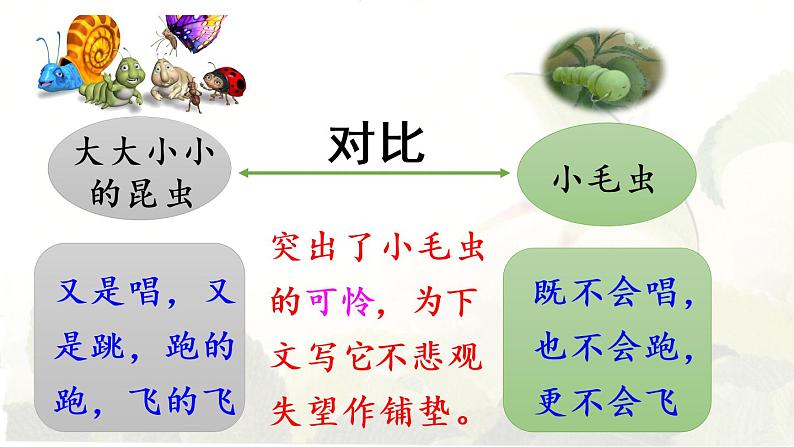 22.小毛虫第2课时第5页