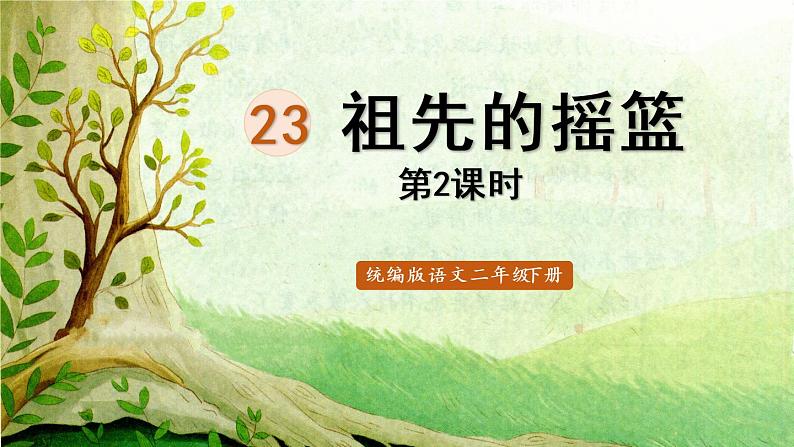 23.祖先的摇篮第二课时第1页