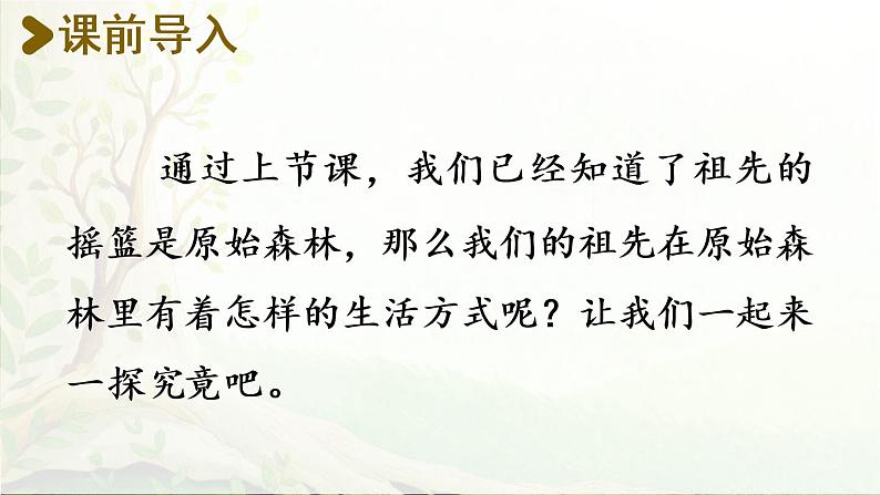 23.祖先的摇篮第二课时第2页