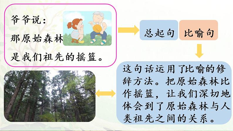 23.祖先的摇篮第二课时第4页