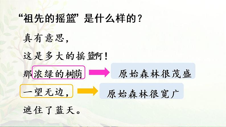 23.祖先的摇篮第二课时第5页