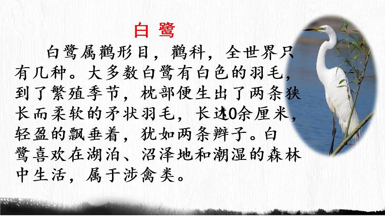15.古诗二首第2课时第5页