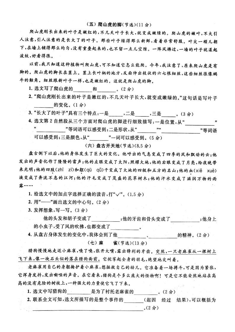 小学语文部编版四年级上册期末课内阅读专项练习（附参考答案）203