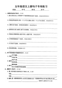 小学语文部编版五年级上册期末句子专项练习（附参考答案）6