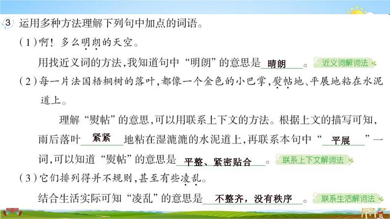 人教部编版三年级语文上册《5 铺满金色巴掌的水泥道》配套作业课件PPT教学课件第5页