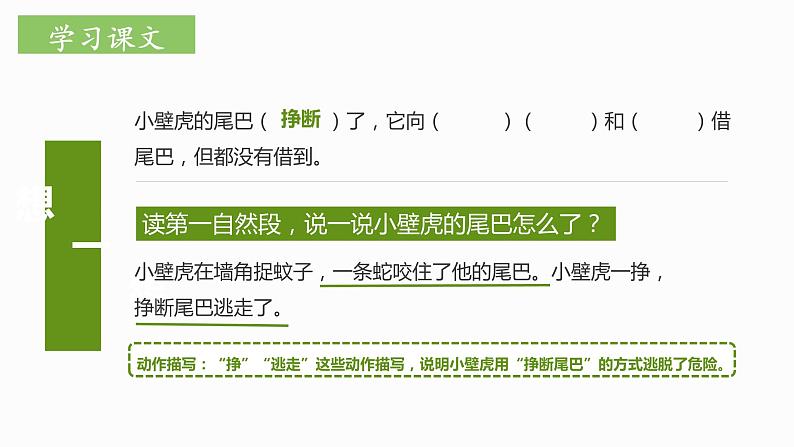 部编版语文一下《小壁虎借尾巴》 第二课时 课件PPT（送教案）05