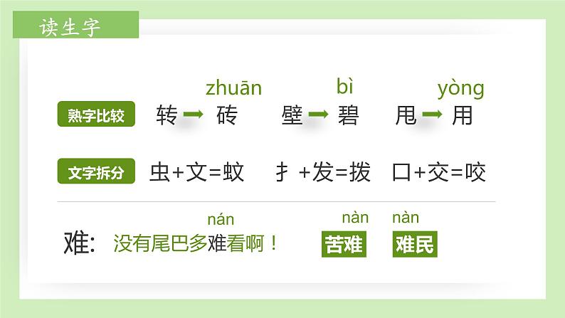 部编版语文一下《小壁虎借尾巴》 第一课时 课件PPT（送教案）05