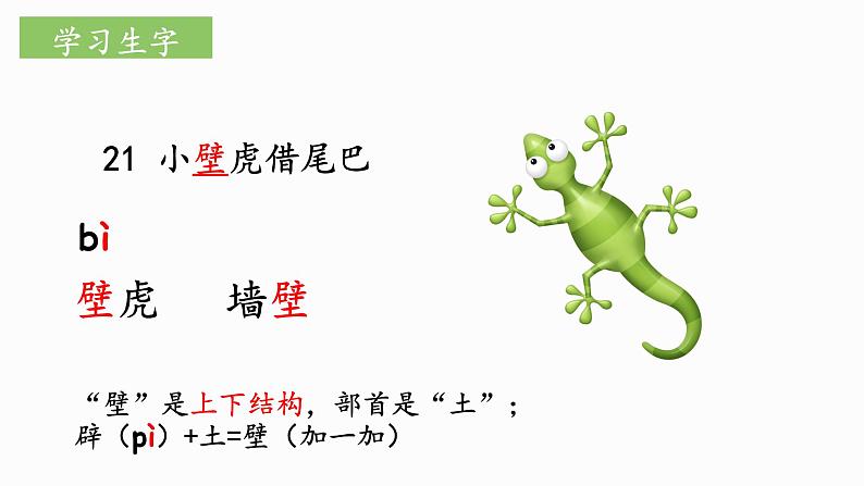 部编版语文一下《小壁虎借尾巴》 第一课时 课件PPT（送教案）06