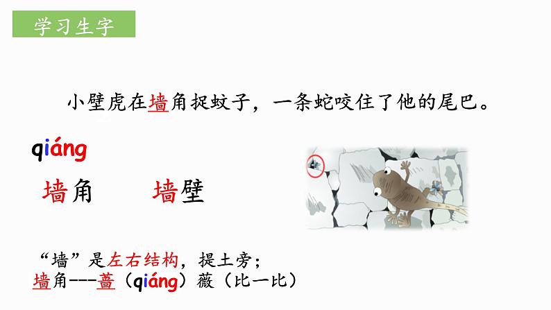 部编版语文一下《小壁虎借尾巴》 第一课时 课件PPT（送教案）07