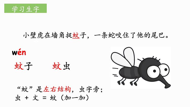 部编版语文一下《小壁虎借尾巴》 第一课时 课件PPT（送教案）08