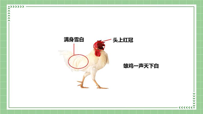 部编版语文一下 语文园地八 第二课时 课件PPT（送教案）05