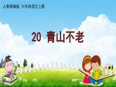 人教部编版六年级语文上册《20 青山不老》配套作业课件PPT教学课件