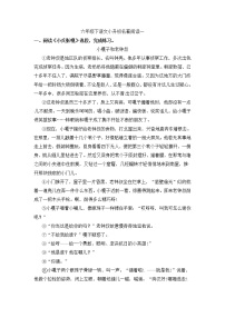 人教部编版小学语文名著阅读专项练习（一）（含答案）